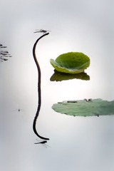 1450571