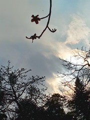 1386252