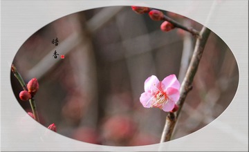 IMG_9860__