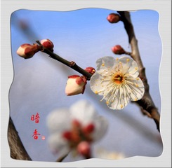 IMG_9867__