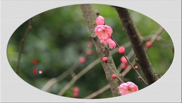 IMG_9876__