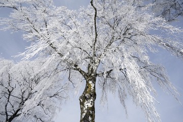 DJI_0050