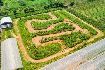 DJI_0088