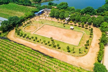 DJI_0087