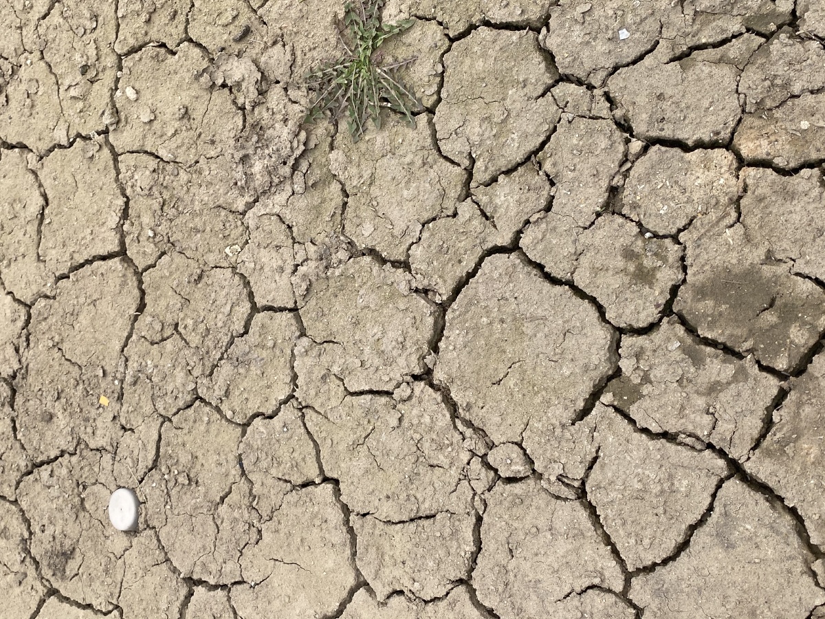 裂- 焦不了 - 图虫