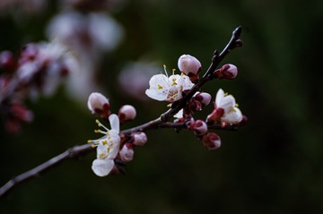 EAB0063F-735E-4711-B690-BA822E0F4A06/L0/001