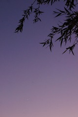 0DE8C8F9-8E12-41E3-BA3B-F05B07D3F7F7/L0/001