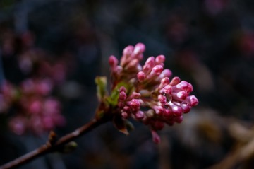 0A877FC6-C7E3-4650-BE2C-35B875D698D7/L0/001