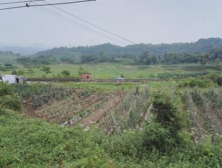 328361