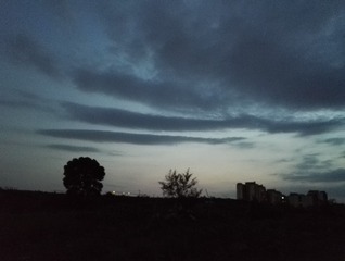 264757