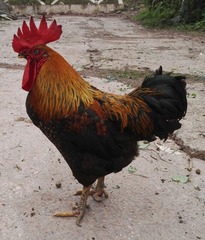 283554