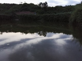 264754