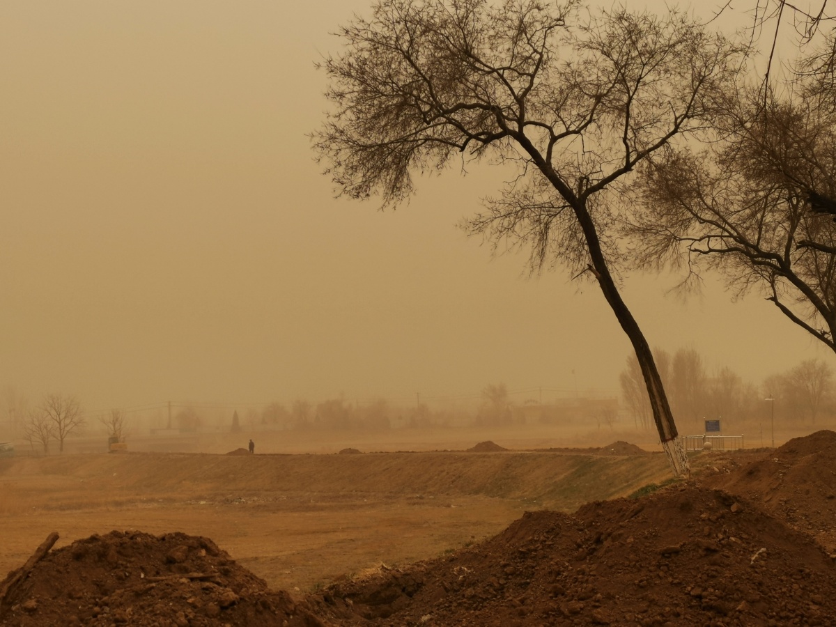 沙尘之下昨日漫天扬沙沧州大运河湾公园