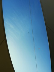 2733703
