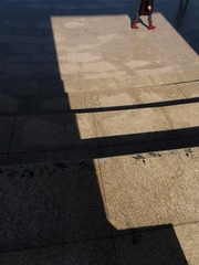2725015