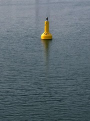 2729935