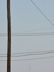 2727373