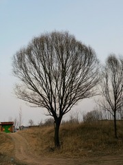2726145