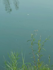 2732660