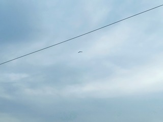 2733752