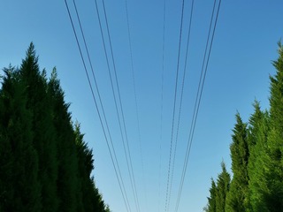 2736424