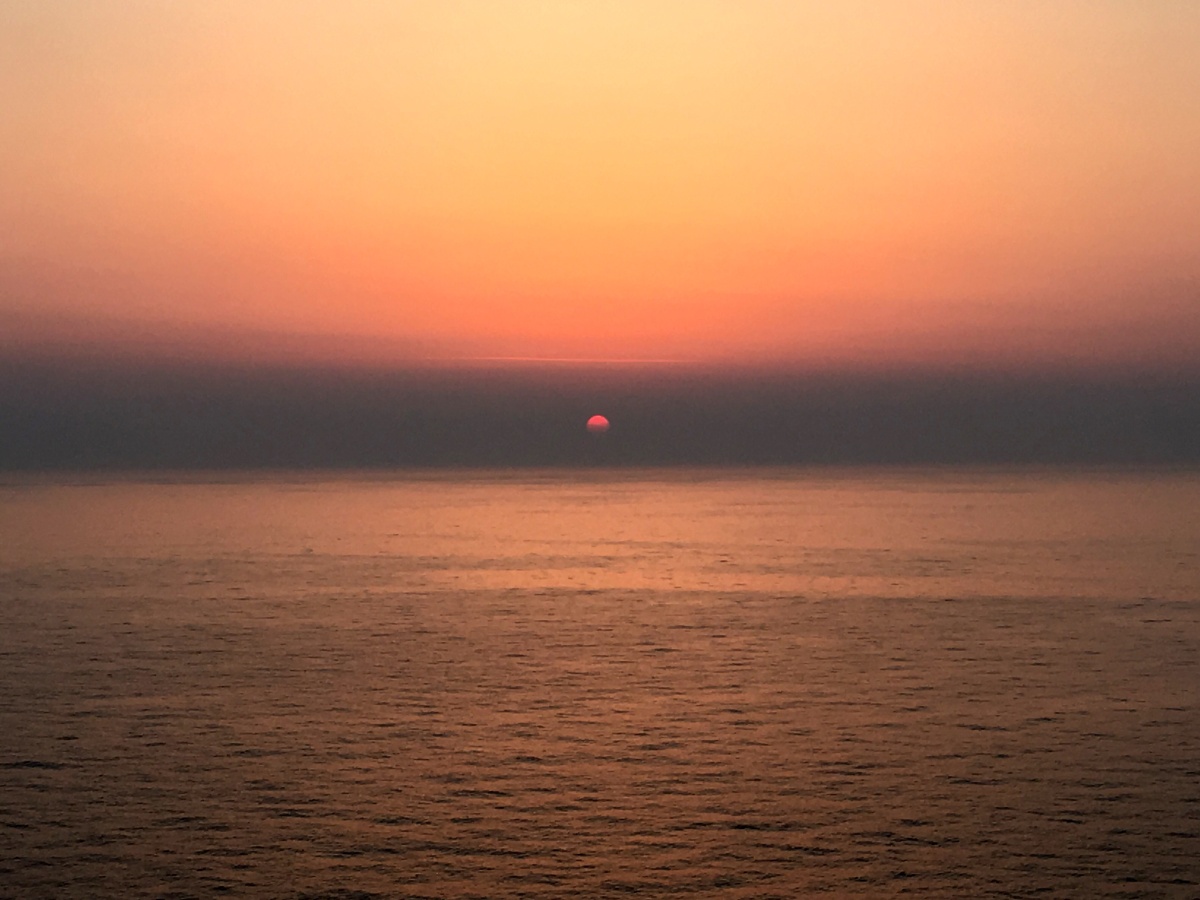 太阳缓缓升起,就好像新的希望慢慢发芽