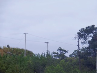 984231
