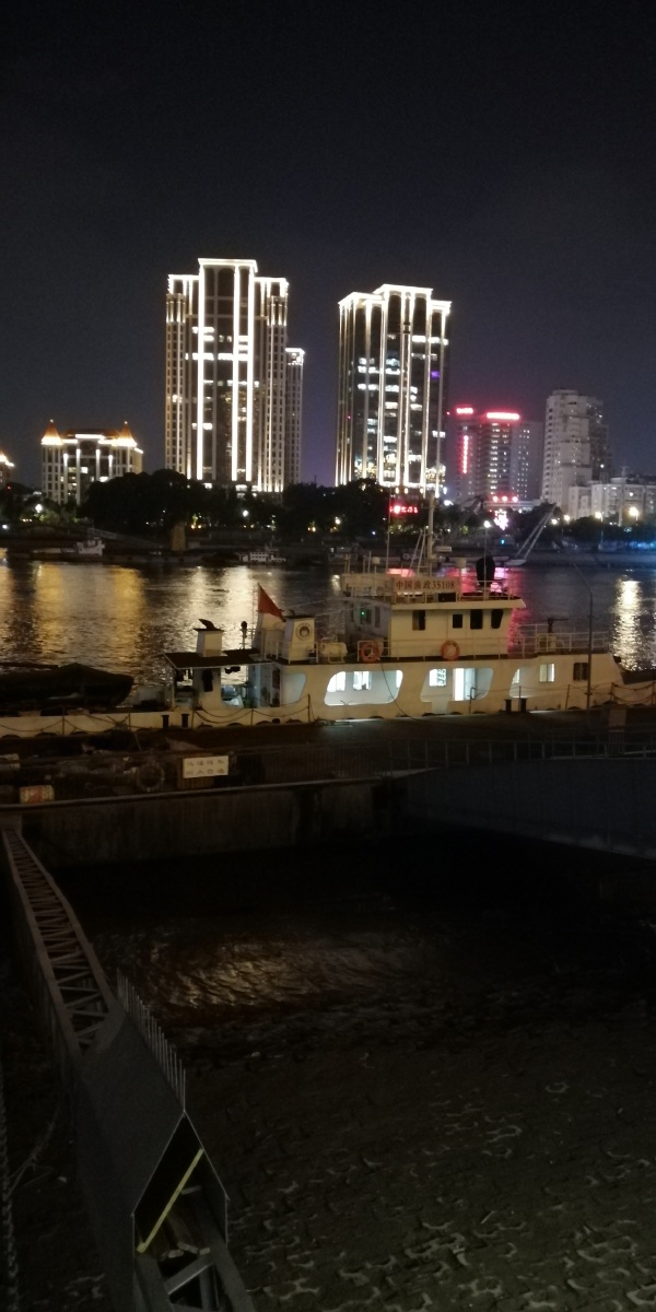 福州台江区夜景江滨公园上下杭景区宠物商店猫很多猫