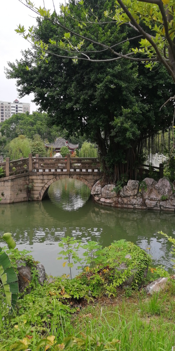 福州南公园内部风光公园湖面风光南公园历史遗迹忠烈亭亭台楼阁