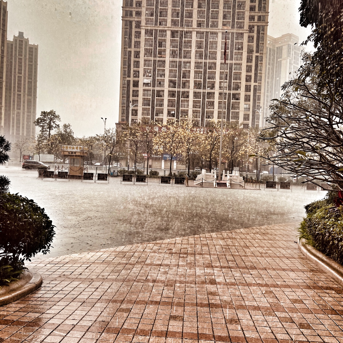 雨天你在等人送伞我在等雨停