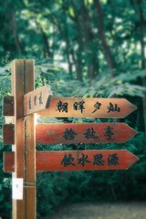 4870C5EF-E8AE-4DFA-B1B7-995C24C777EA/L0/001
