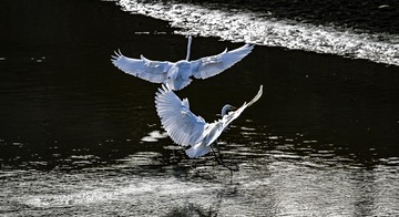 B7A12D56-FA0E-4CCE-A60B-F0E3EF4CB4D0/L0/001