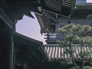 A647F19D-F5B3-4D15-A1A9-19E646047103/L0/001