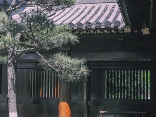DF968046-1E94-4DA2-9135-0B24EA8D56E5/L0/001