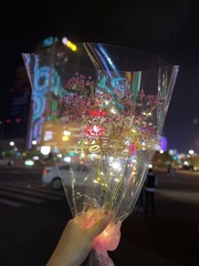 A07D31B6-77AB-423A-9011-31696BD13A88/L0/001