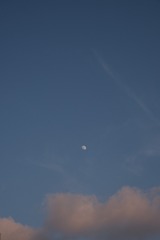 7AC1364F-835E-444F-B971-528791DF5527/L0/001