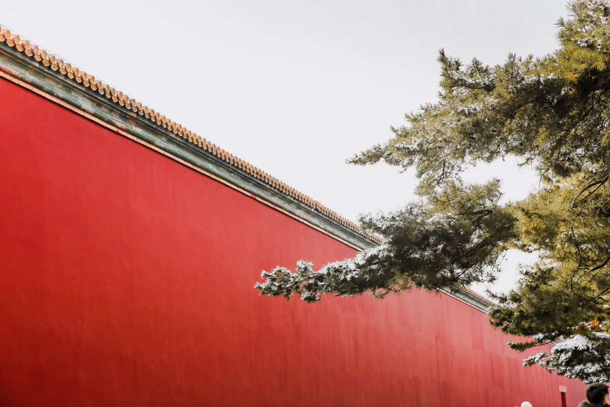 红墙黄瓦宫苑深处遥见玉片翩纷终是故宫复如紫禁城762019故宫初雪