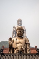 D4F60B73-BBF5-4C40-A736-FE2618EC4CCD/L0/001