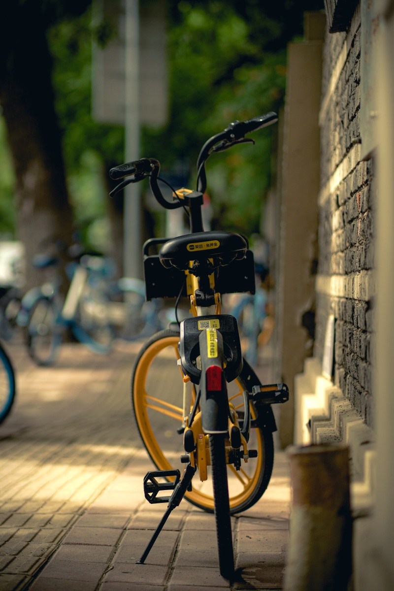 夏日印象61天津共享单车篇