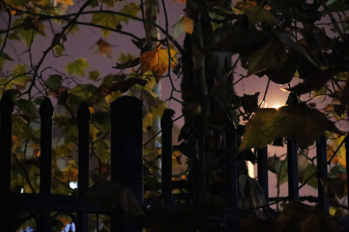 黑夜里透出一点微光若隐若现的一瞬间