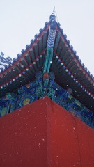 A50E063E-F982-4555-945A-86F7DCCE816B/L0/001