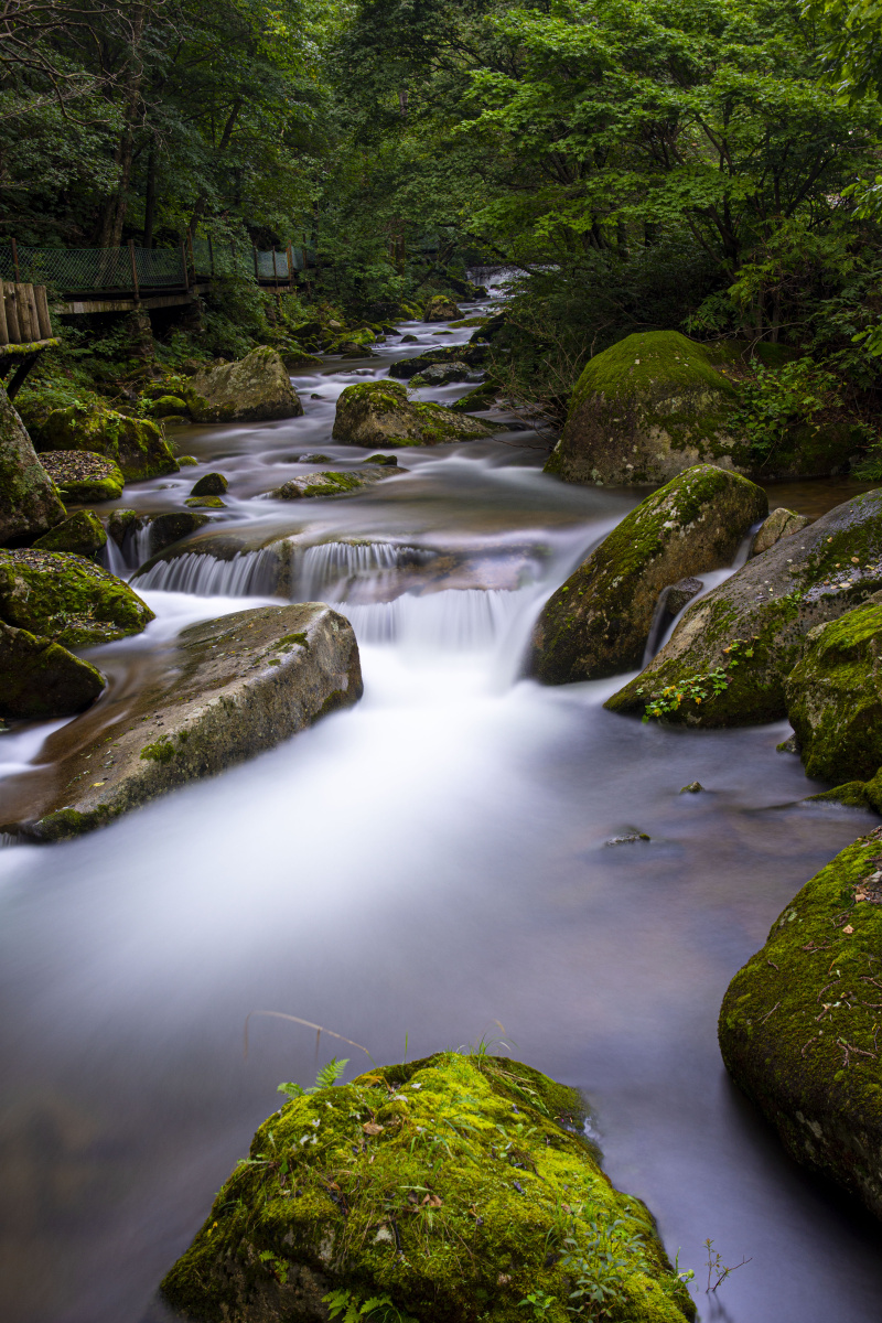 空山新雨后清泉石上流
