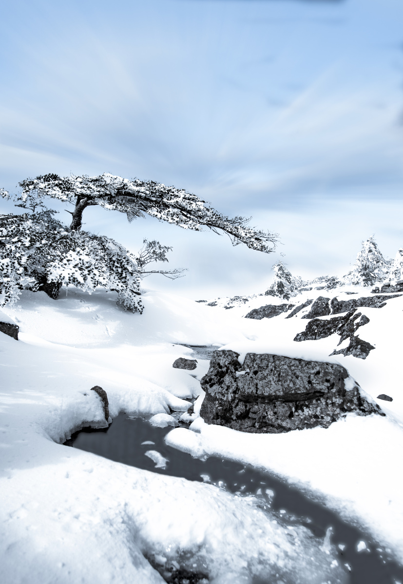 轿子山雪景下雪后没被冻起来的溪水堆满雪的石头远处的迎客松摄于昆明