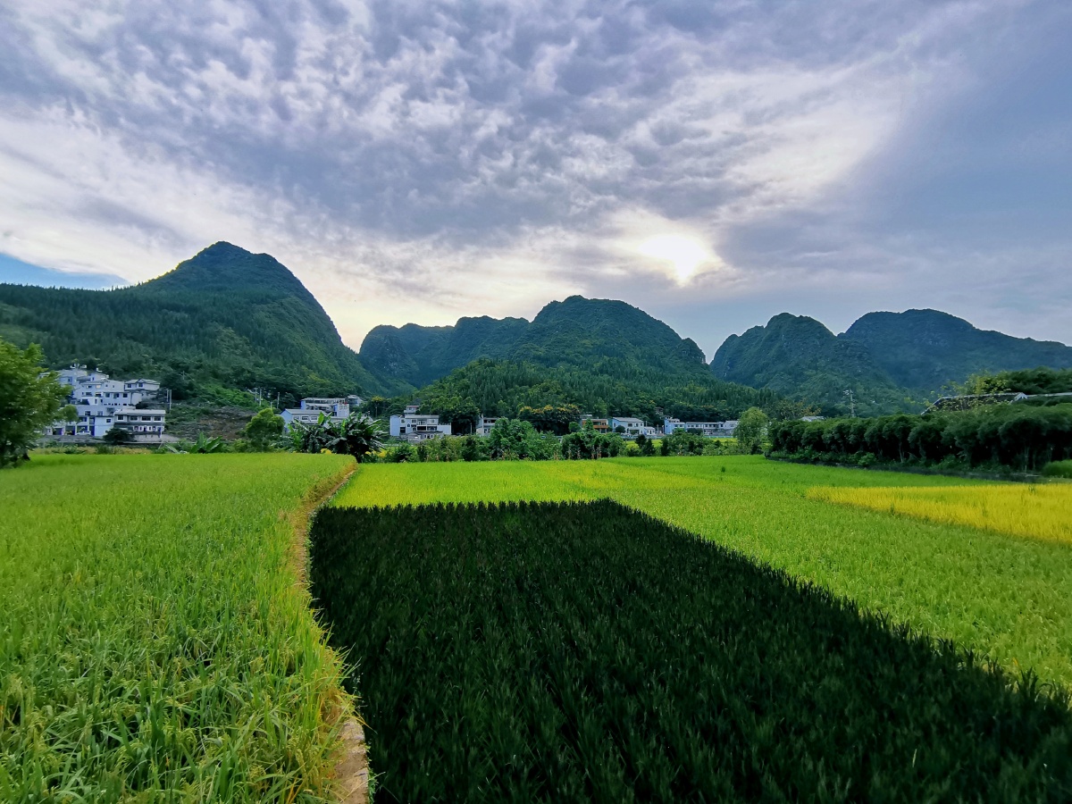贵阳万峰林下纳灰村田园风光