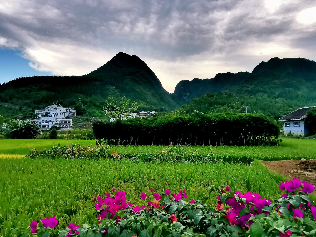 贵阳万峰林下纳灰村田园风光