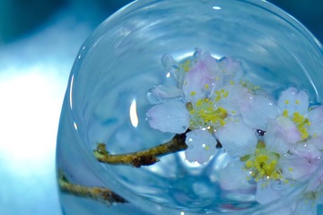 AB890E63-4B29-4F79-89AE-2257247649F4/L0/001