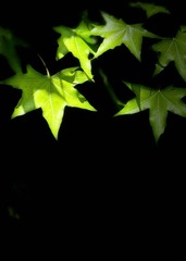 F022467A-86D8-4E75-B4D1-02E2385DA404/L0/001