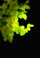 64D74F70-0DFD-4A55-A767-A3C2BDA00C63/L0/001