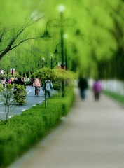 82F871D8-6D59-48F7-886A-766C1465383E