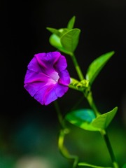 B2D97BFB-E44A-4BC0-A1BD-F2E02A87CFE3/L0/001